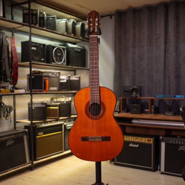 گیتار کلاسیک شینانو Shinano Classic Guitar - تصویر 7