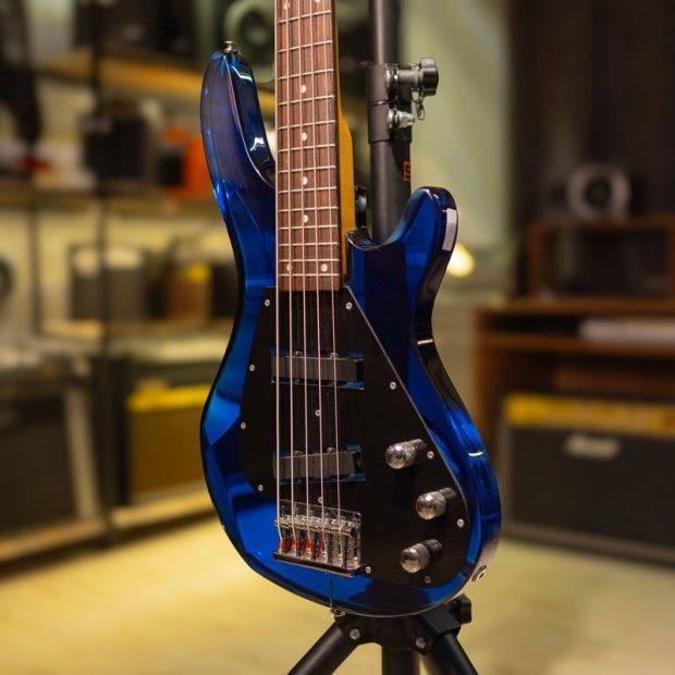 گیتار بیس زین Zinn Transparent 5-String Bass - تصویر 2