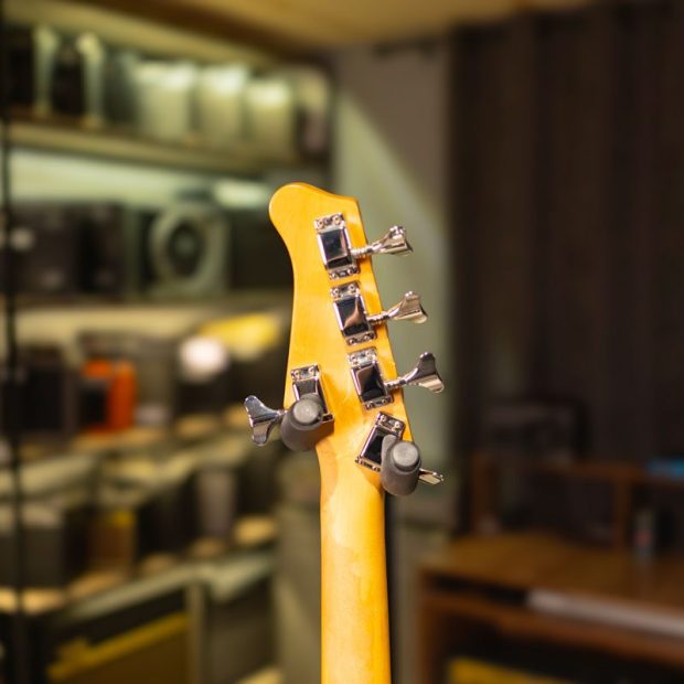گیتار بیس زین Zinn Transparent 5-String Bass - تصویر 5