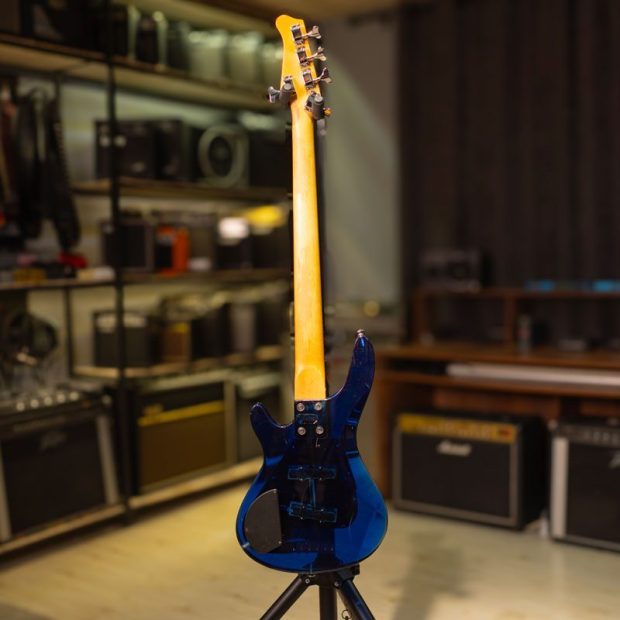 گیتار بیس زین Zinn Transparent 5-String Bass - تصویر 7