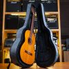 هارد کیس کلاسیک یونولیت (ملانژ) Classic Guitar Hardcase - تصویر 6