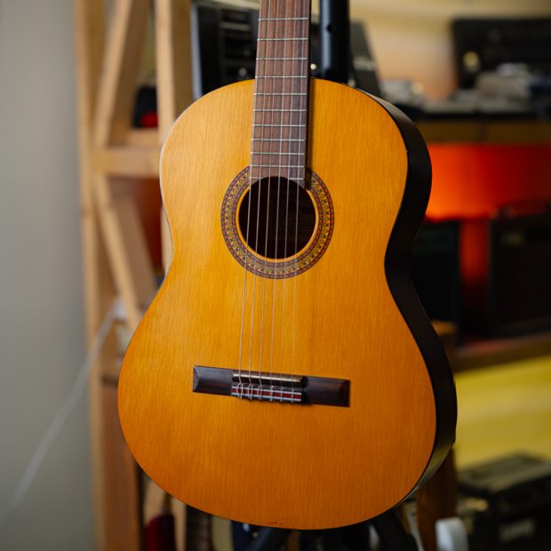 گیتار کلاسیک پرینس Prince C745 - تصویر 2