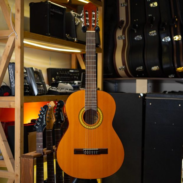 گیتار کلاسیک تایلر مانتِین Tyler Mountain HG39-20I - تصویر 6