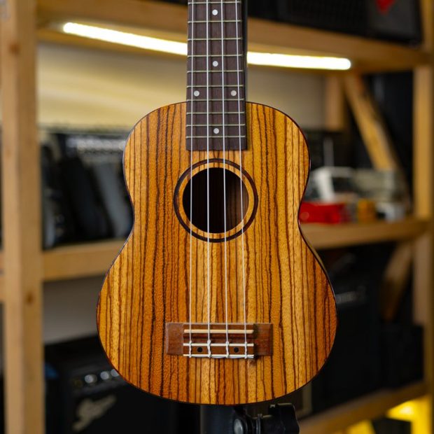 گیتار یوکللی Ukulele -46 - تصویر 1