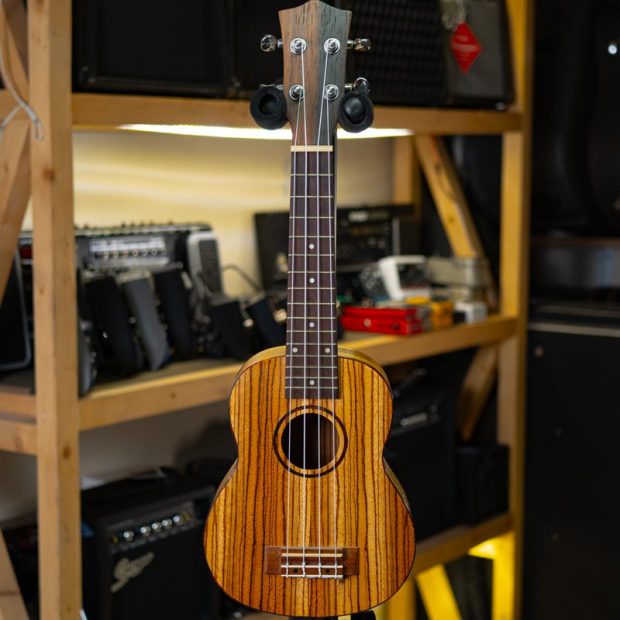 گیتار یوکللی Ukulele -46 - تصویر 3