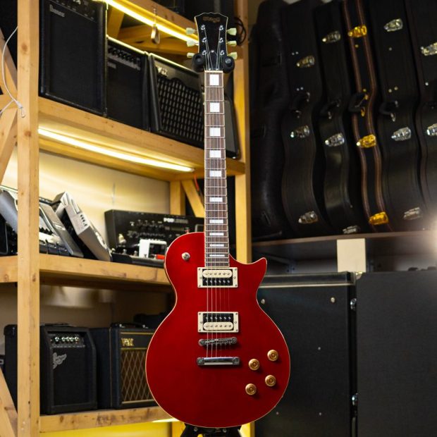 گیتار الکتریک اِستَگ Stagg SEL-ZEB-MRD L Series Zebra Electric Guitar - تصویر 5