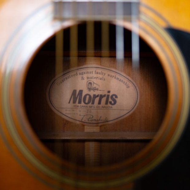 گیتار آکوستیک موریس Morris W 20 Acoustic Guitar - تصویر 4