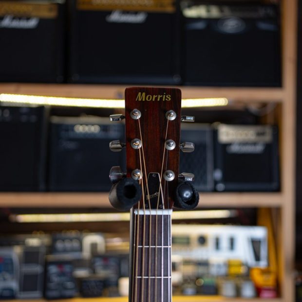 گیتار آکوستیک موریس Morris W 20 Acoustic Guitar - تصویر 5
