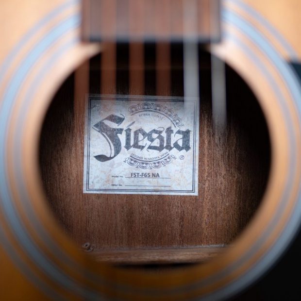 گیتار آکوستیک فیِستا Fiesta FST-F65 by Aria - تصویر 5