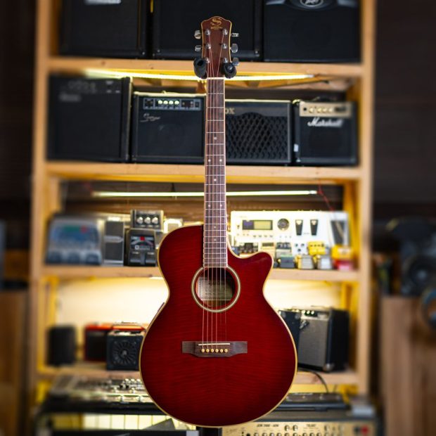 گیتار آکوستیک سِپیا کرو Sepia Crue EA500W Korea Acoustic Guitar - تصویر 8