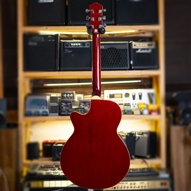 گیتار آکوستیک سِپیا کرو Sepia Crue EA500W Korea Acoustic Guitar - تصویر 9
