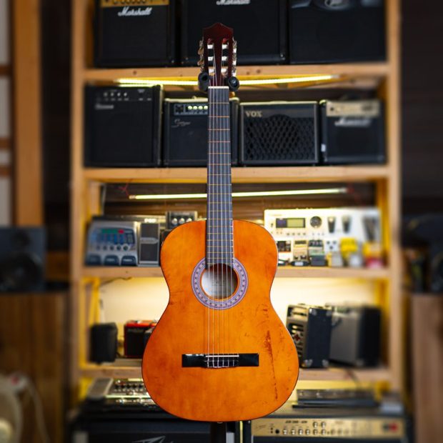 گیتار کلاسیک جِی اند زد J&Z D3901 Classic Guitar - تصویر 7