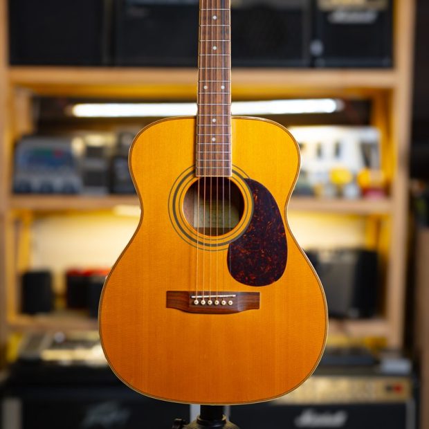 گیتار آکوستیک استافورد Stafford 2009 SF-250F-N Acoustic Guitar - تصویر 1