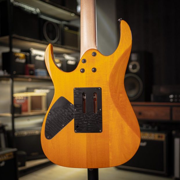 گیتار الکتریک آیبانِز Ibanez RG320FM - تصویر 3