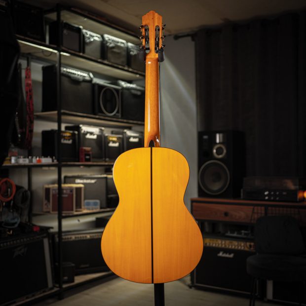 گیتار فلامنکو استیو Esteve 5F-TS Flamenco - تصویر 9