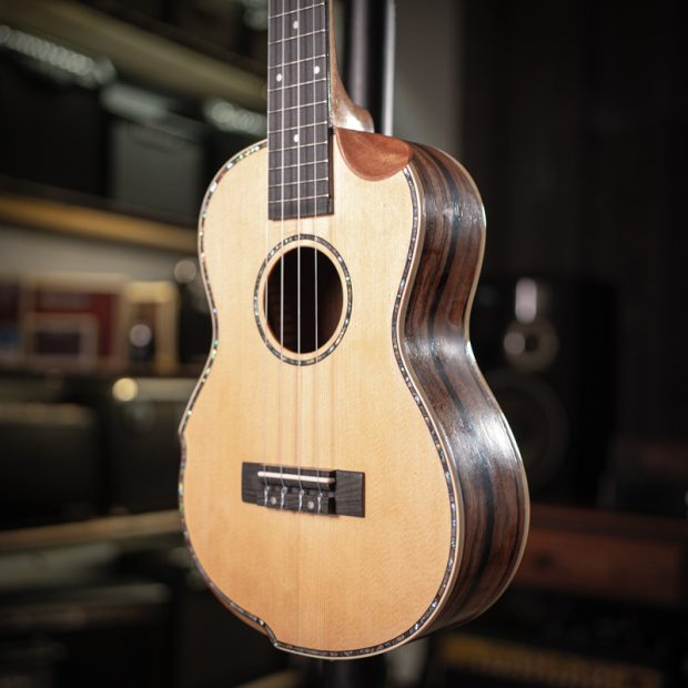 گیتار یوکللی Ukulele No name - تصویر 2