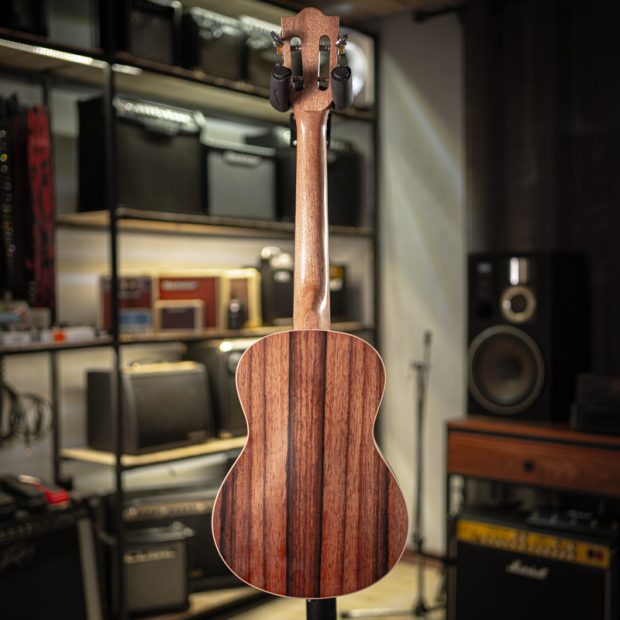 گیتار یوکللی Ukulele No name - تصویر 8