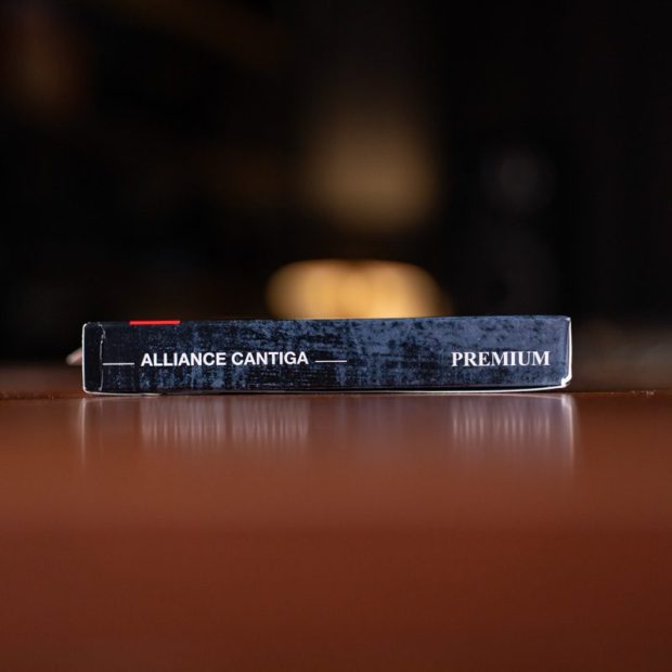 سیم گیتار الکتریک ساوارز Savarez 510ARJP Alliance Cantiga Premium - تصویر 5