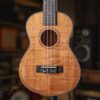 گیتار یوکللی Ukulele No Name 2