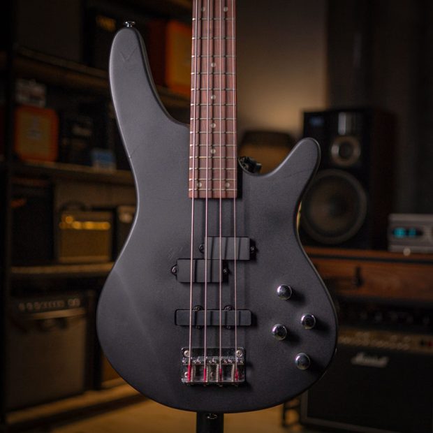 گیتار بیس رِینبو Rainbow PJ Bass Black - تصویر 1