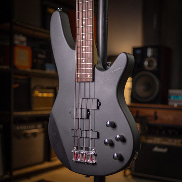 گیتار بیس رِینبو Rainbow PJ Bass Black - تصویر 2