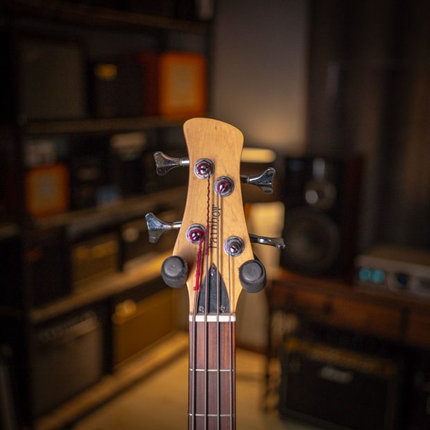 گیتار بیس رِینبو Rainbow PJ Bass Black - تصویر 3