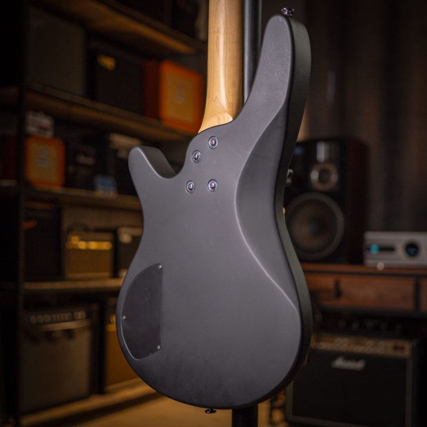 گیتار بیس رِینبو Rainbow PJ Bass Black - تصویر 6