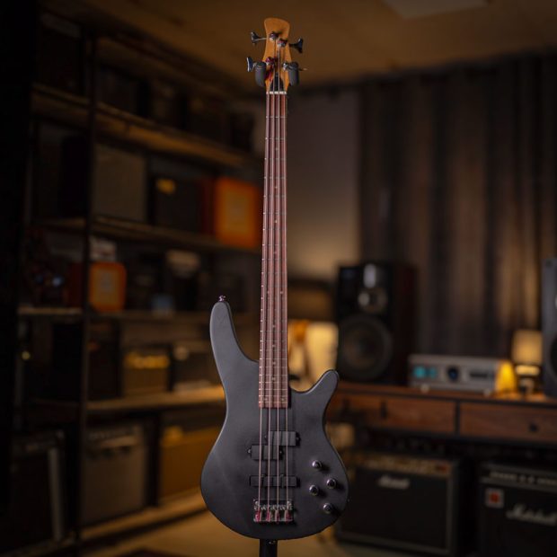 گیتار بیس رِینبو Rainbow PJ Bass Black - تصویر 7