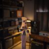 گیتار بیس رِینبو Rainbow PJ Bass Green - Image 3
