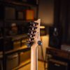گیتار الکتریک آیبانِز Ibanez XP300FX - تصویر 4