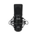 میکروفون Alctron UM900