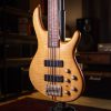 گیتار بیس کورت Cort Artisan A4 - تصویر 2