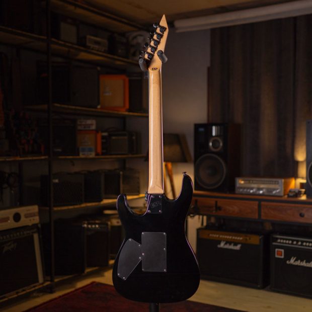 گیتار الکتریک ال تی دی ESP LTD KH-202 Kirk Hammett Signature - تصویر 8