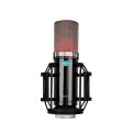 میکروفون استودیویی Alctron CM6 Lite