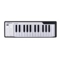میدی کنترلر آرتوریا Arturia Microlab 25 Black