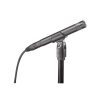 میکروفون آدیو تکنیکا Audio-Technica AT2031 - تصویر 2