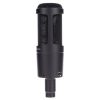 میکروفون آدیو تکنیکا Audio-Technica AT2050 - تصویر 9