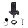 پکیج میکروفون آدیو تکنیکا Audio-Technica AT2050 Package