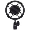 میکروفون آدیو تکنیکا Audio-Technica AT4040 - تصویر 2