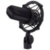 میکروفون آدیو تکنیکا Audio-Technica AT4040 - تصویر 15