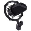 میکروفون آدیو تکنیکا Audio-Technica AT4040 - تصویر 16