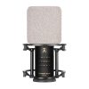 میکروفون استرین آدیو Austrian Audio OC-S10 - تصویر 6