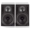 اسپیکر مانیتورینگ بهرینگر Behringer B2031A - تصویر 6