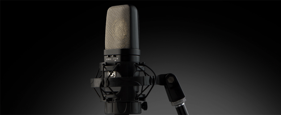 میکروفون Warm Audio WA-14 میکروفون Warm Audio WA-14