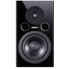 اسپیکر مانیتورینگ فاستکس Fostex PM1 MK2 - تصویر 2