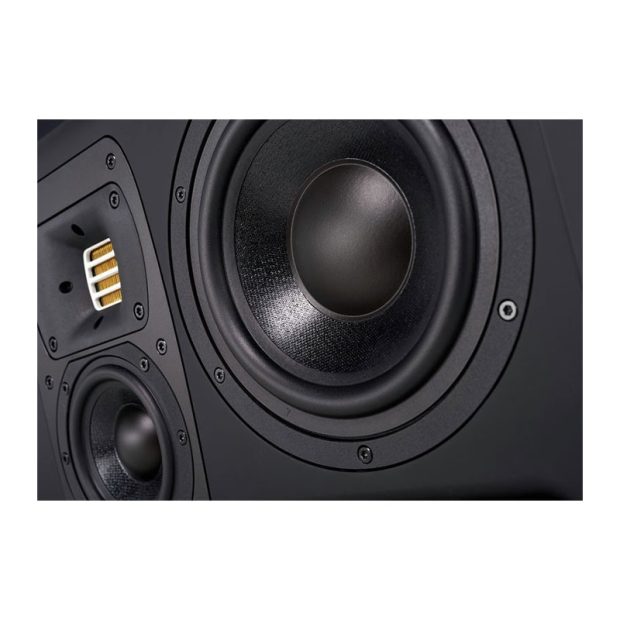 اسپیکر مانیتورینگ HEDD HEDD Type 30 - تصویر 6