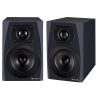اسپیکر مانیتورینگ آیکن Icon PX-T6A G2