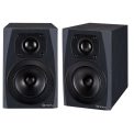 اسپیکر مانیتورینگ آیکن Icon PX-T6A G2