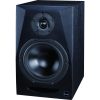 اسپیکر مانیتورینگ آیکن Icon PX-T8A G2