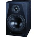 اسپیکر مانیتورینگ آیکن Icon PX-T8A G2